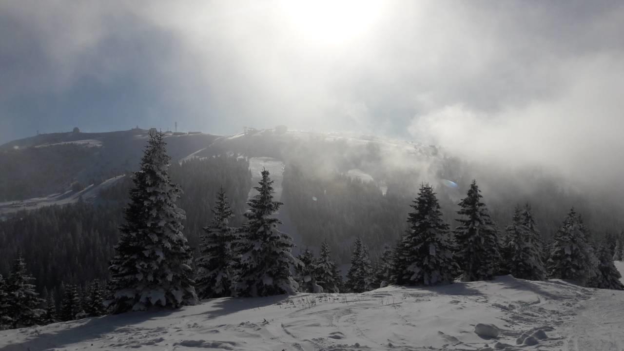 Lux Apartman B1 Milmari Kopaonik Eksteriør bilde