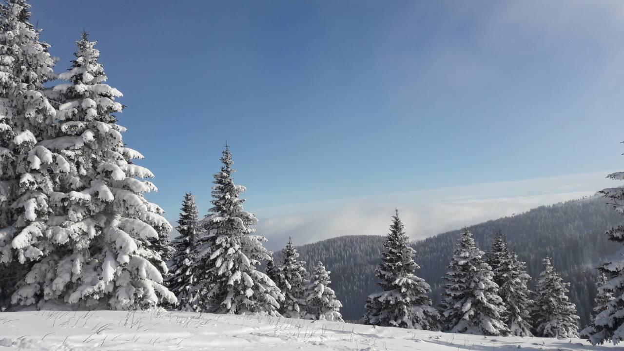 Lux Apartman B1 Milmari Kopaonik Eksteriør bilde